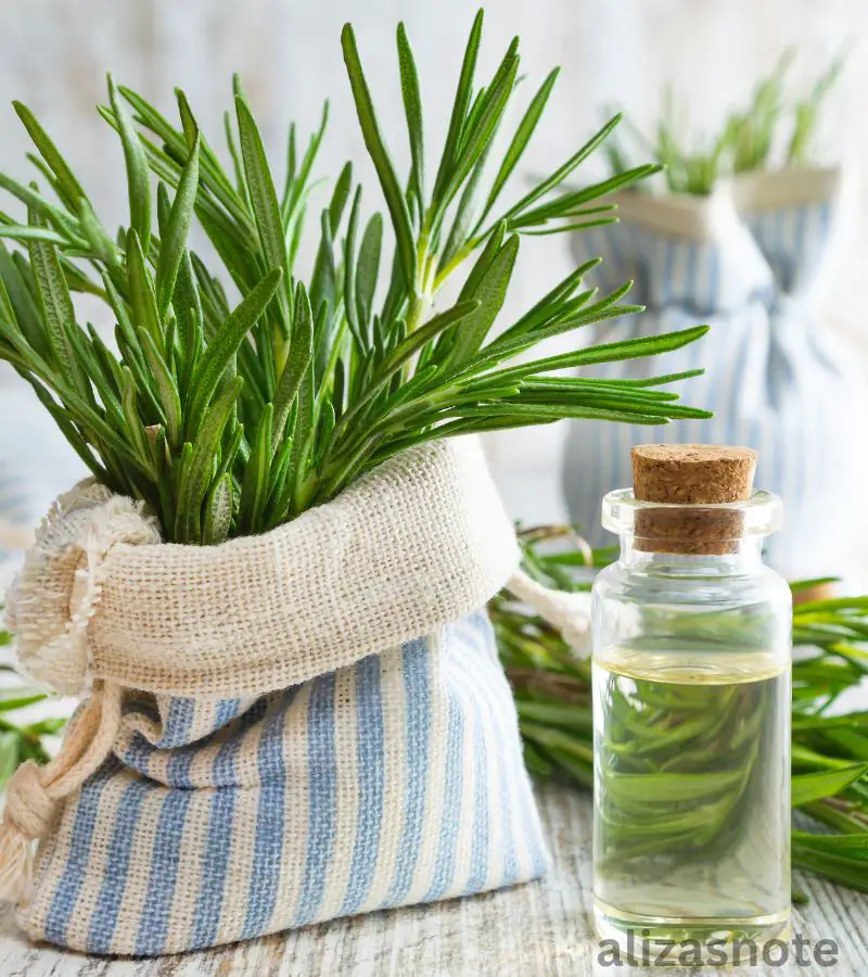 how long does rosemary water last for hair