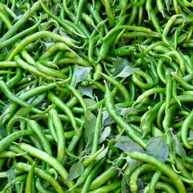 Is Green Chili Healthy | Nutritional Firepower of Green Chilies