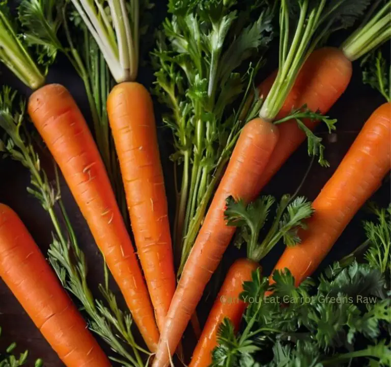 Can You Eat Carrot Greens Raw