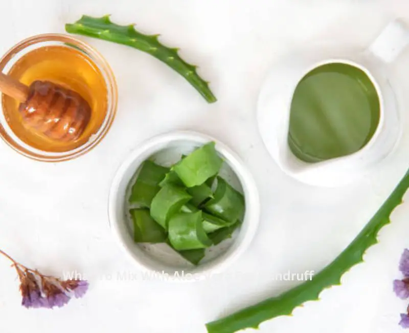What To Mix With Aloe Vera For Dandruff