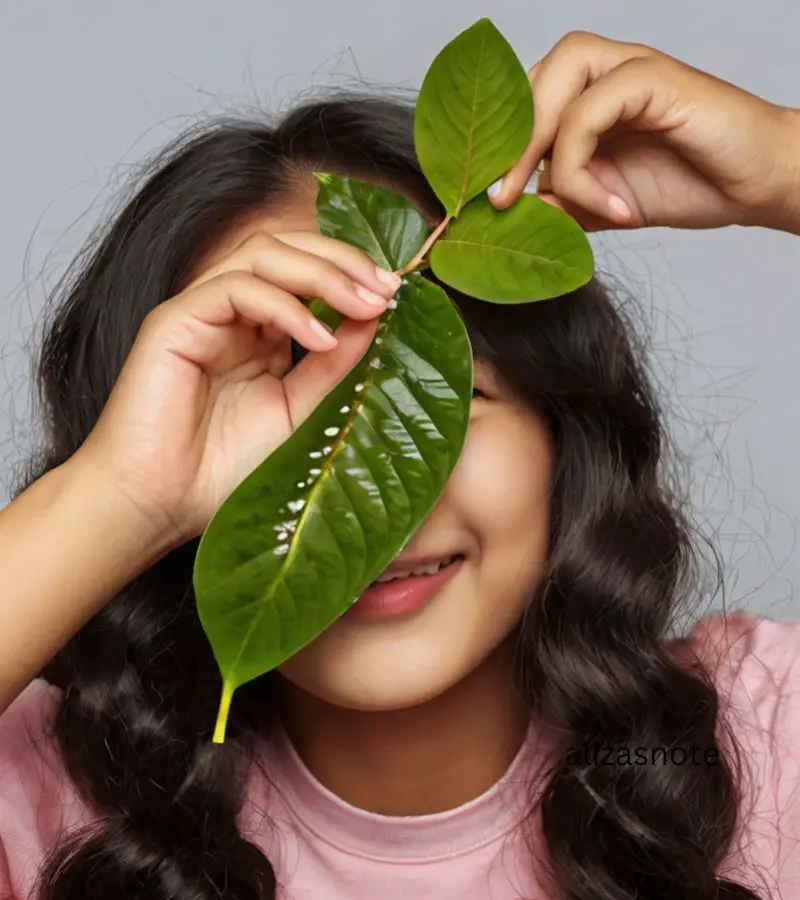 using guava leaves for hair growth