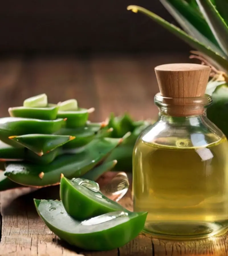 Is aloe good for thinning hair
