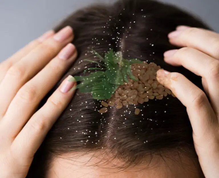 How To Dandruff Treatment With Fenugreek Seeds