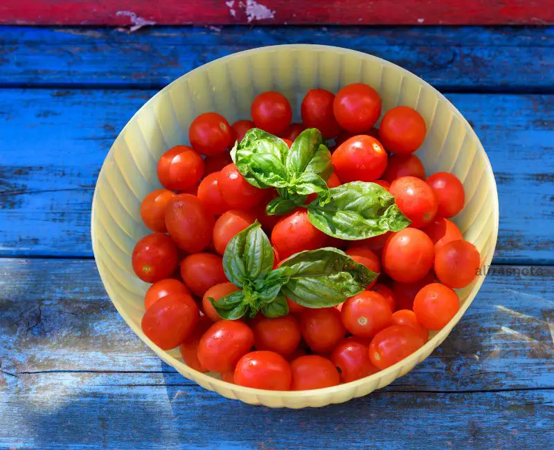 Cherry Tomato And Basil Recipe