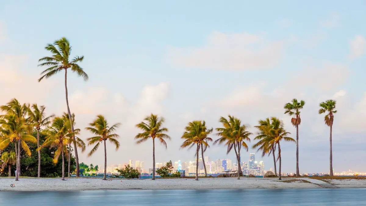 Most Beautiful Places In Miami Beach