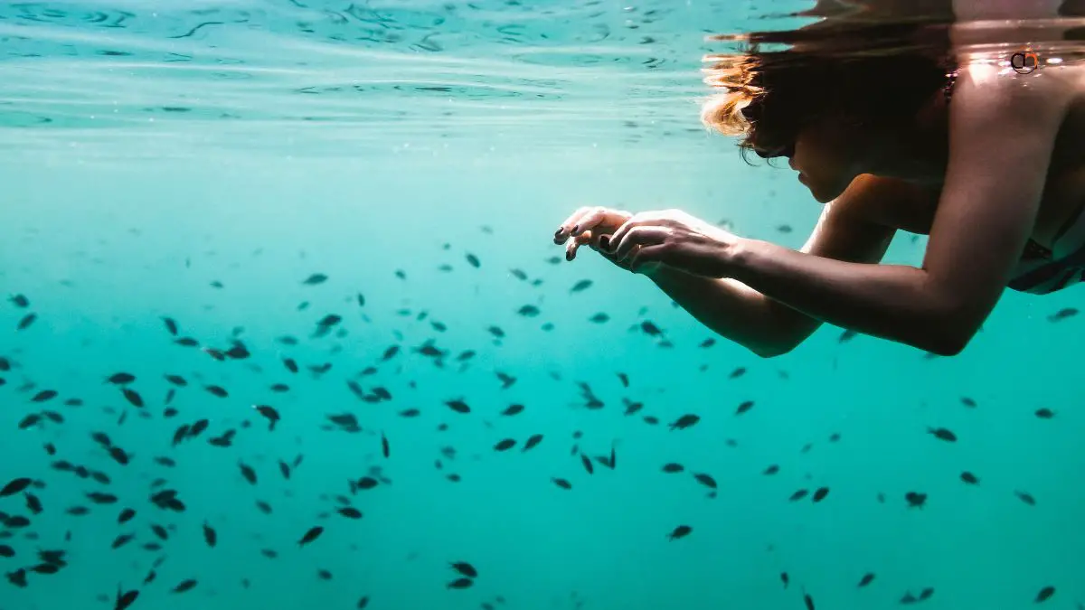 Best Beach In Hawaii For Snorkeling